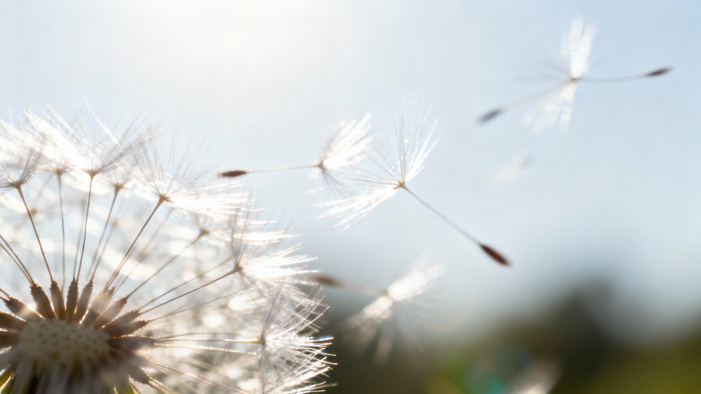 Fast, Browser-Based - Feature illustration