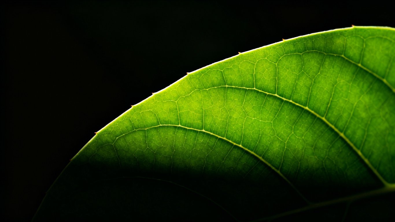 CapCut friendly - Feature illustration