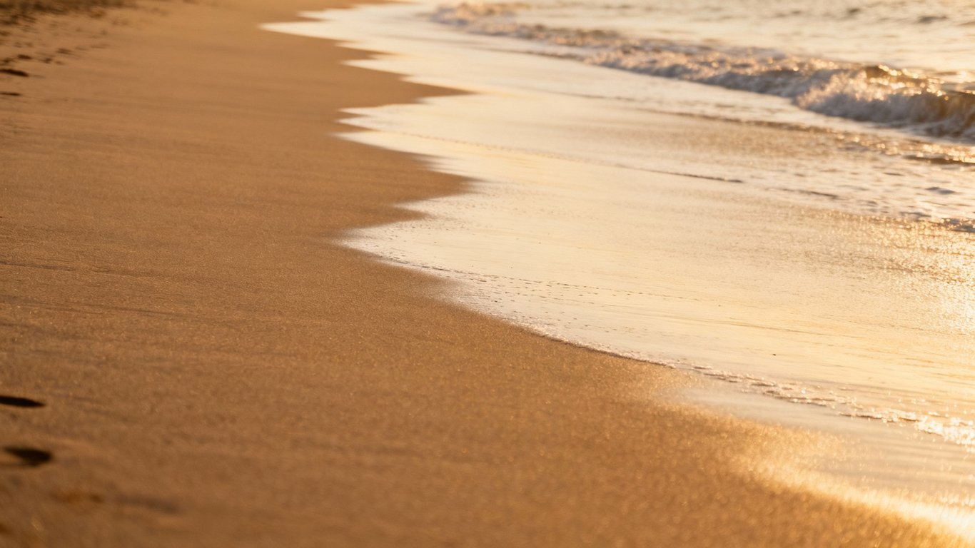 Cleaner removals - Feature illustration