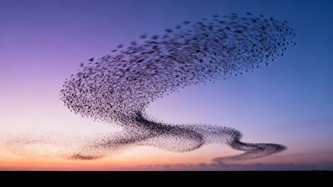 Beyond still images - Feature illustration