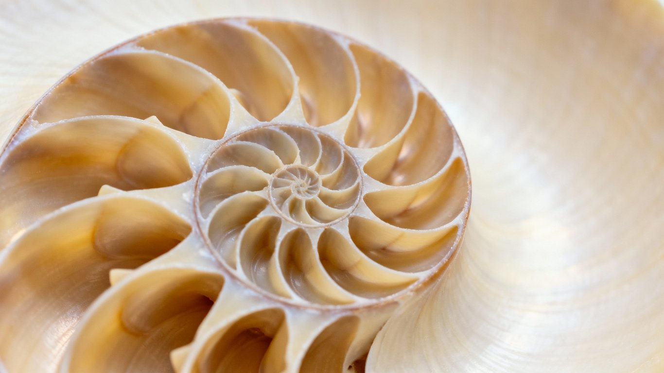 Fast Iteration Loops - Feature illustration