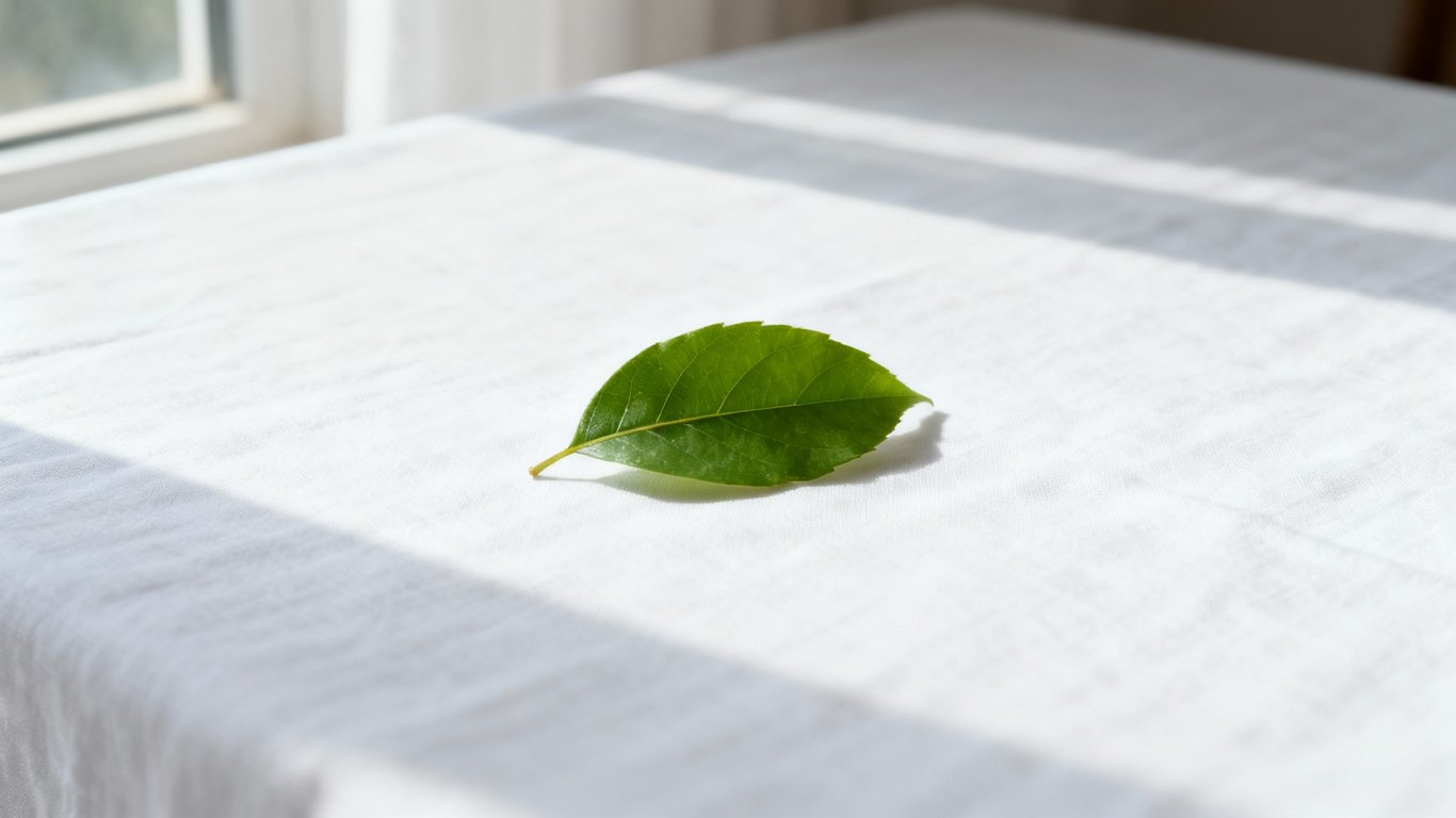 Clean removal - Feature illustration