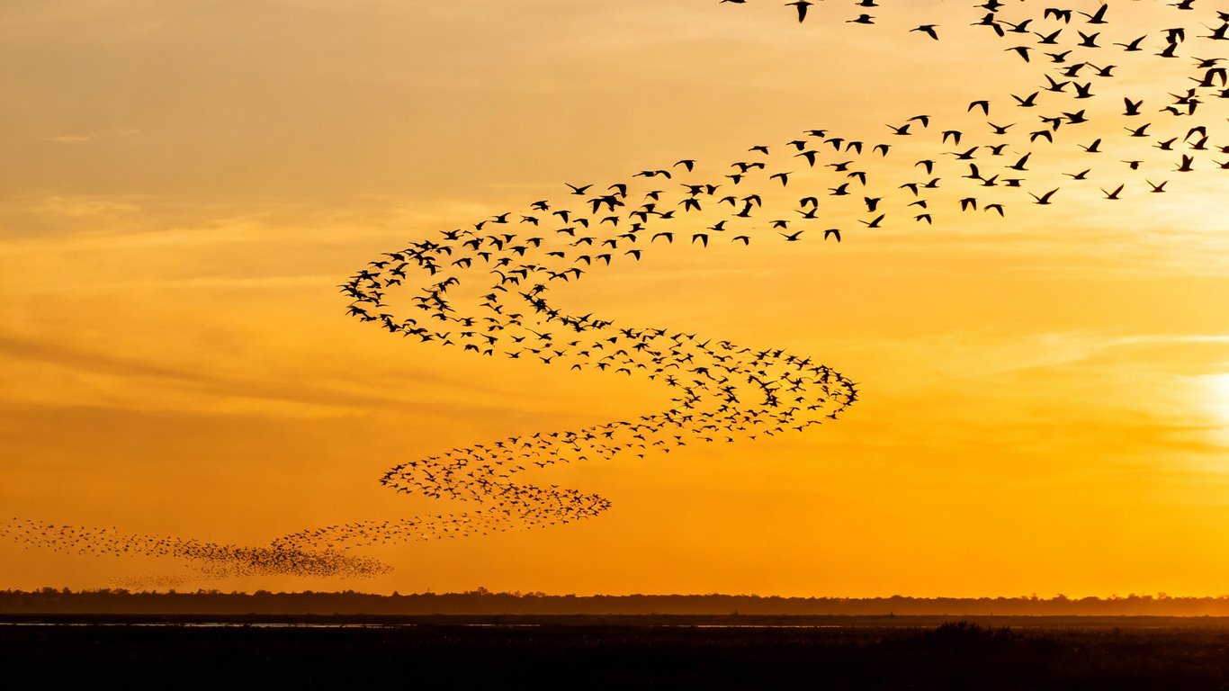 Batch and export - Feature illustration