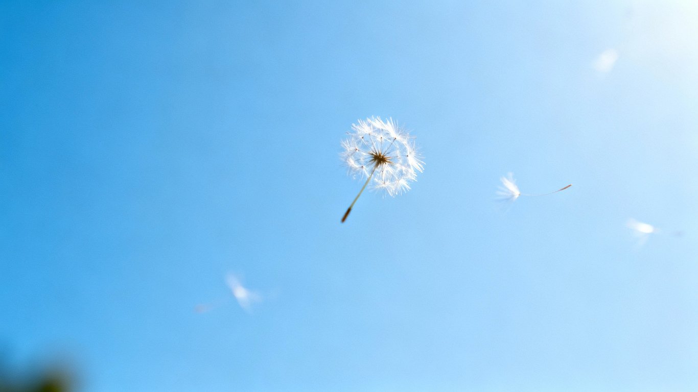 No install needed - Feature illustration