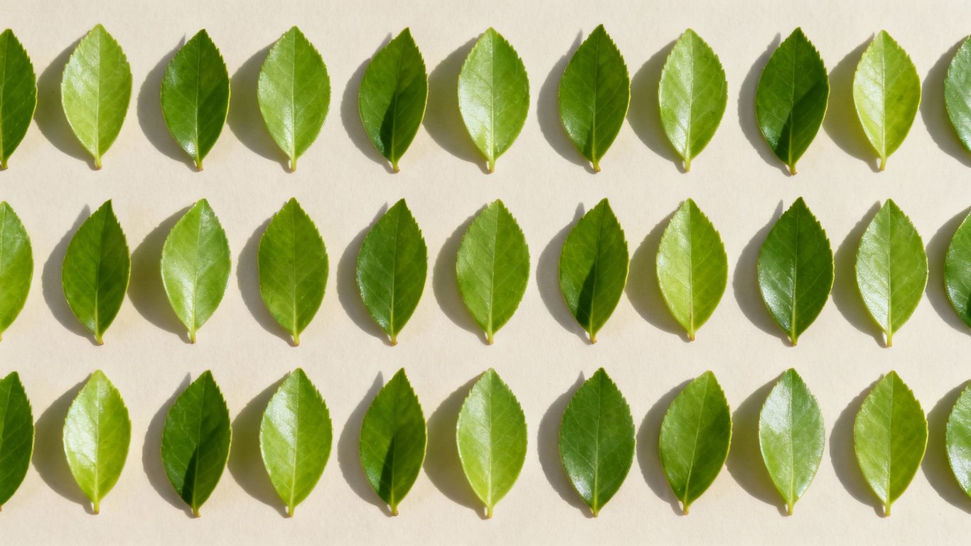 Batch edits - Feature illustration