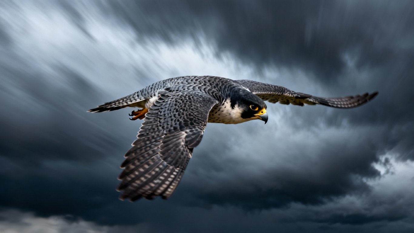 Text to video speed - Feature illustration