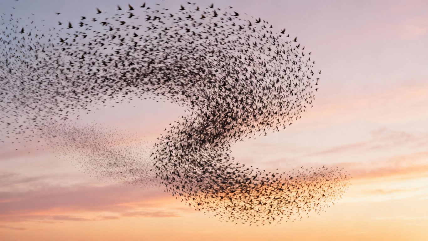 Clean Results Across Frames - Feature illustration