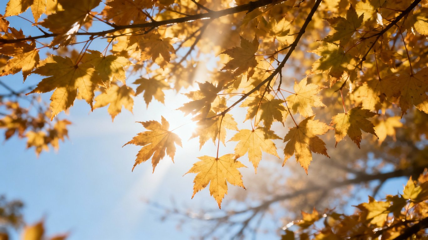 Edge-Aware Editing - Feature illustration