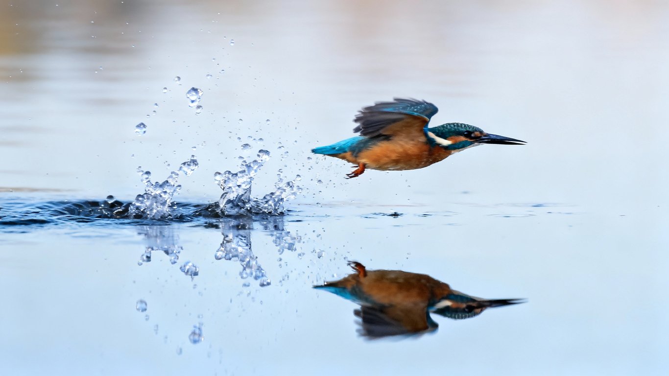 Fast, clean outputs - Feature illustration