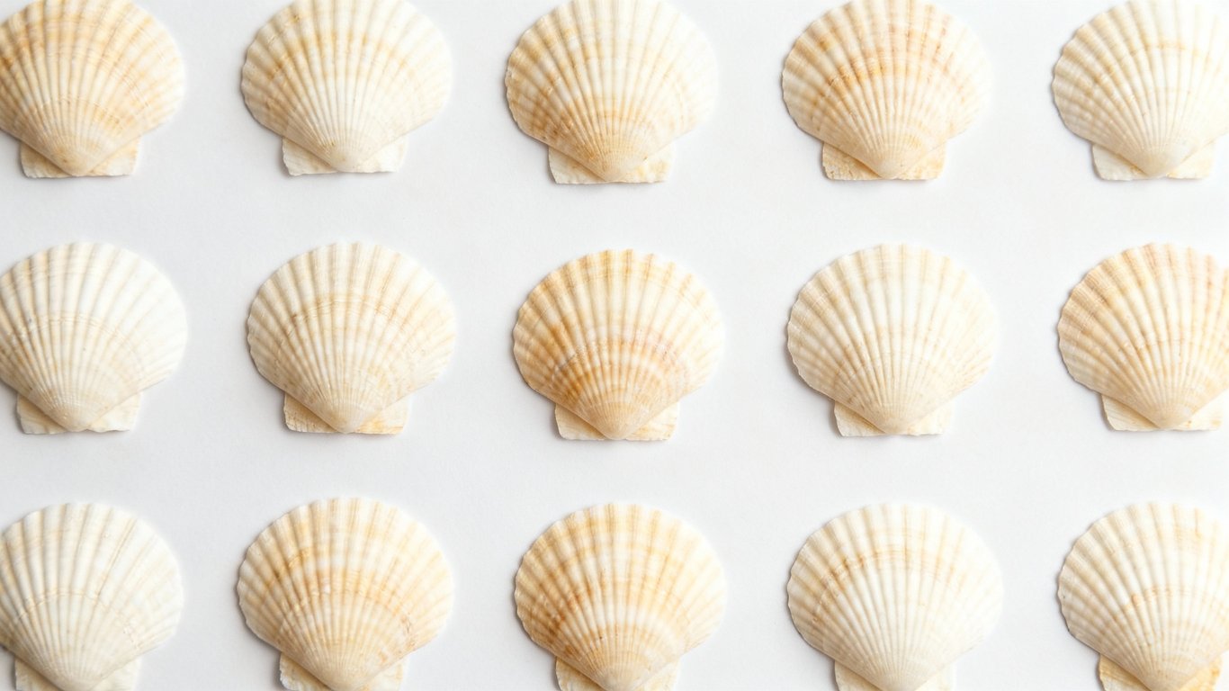 Batch and presets - Feature illustration