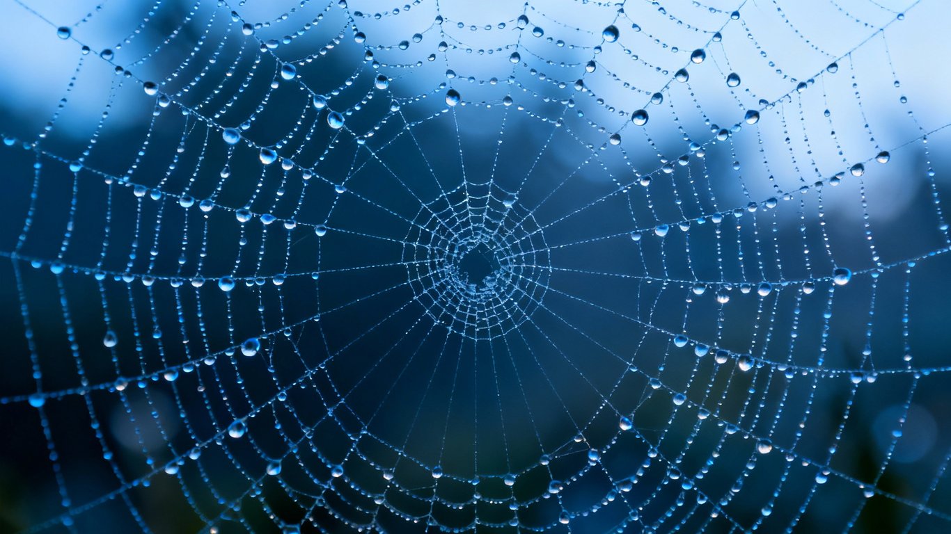 Control and Precision - Feature illustration