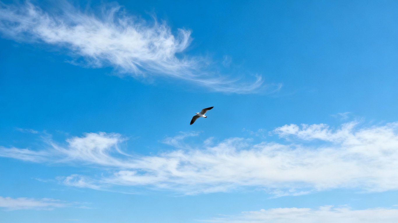 Future of AI Video Generation