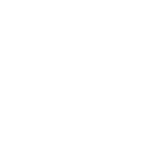 Sanycces