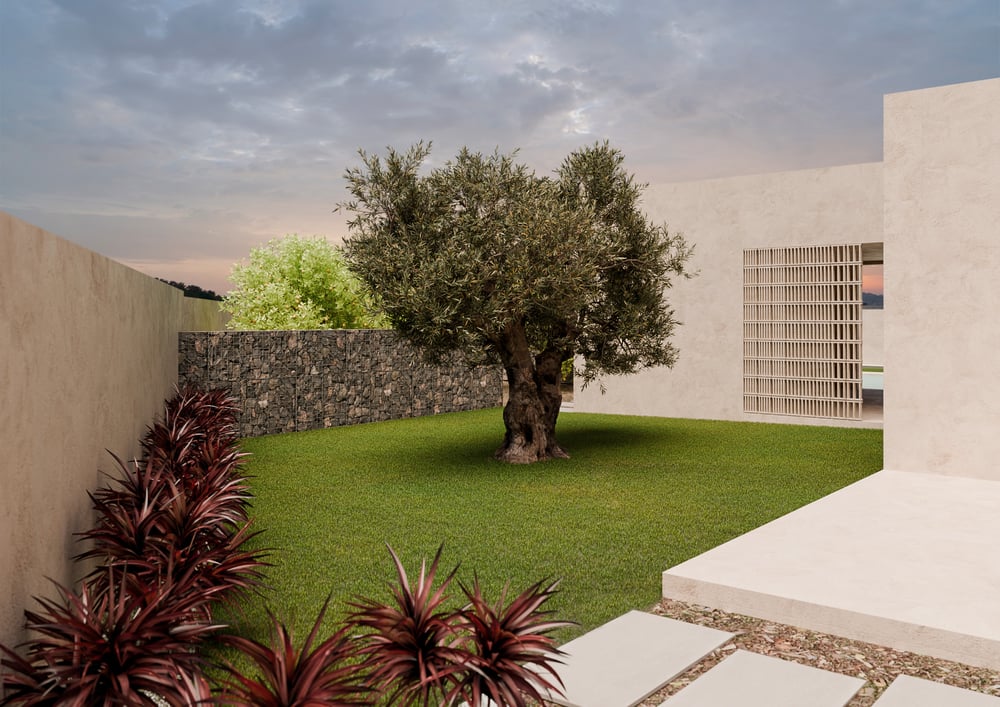 Proyecto de Paisajismo