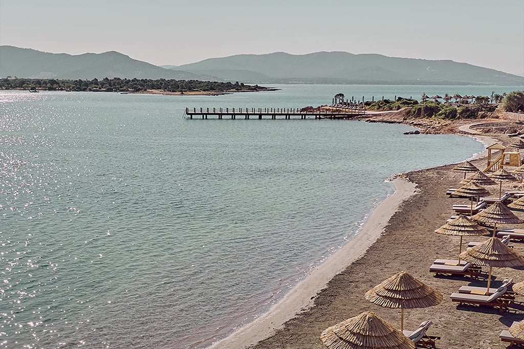 Direct Booking Advantages with Transfer Privileges