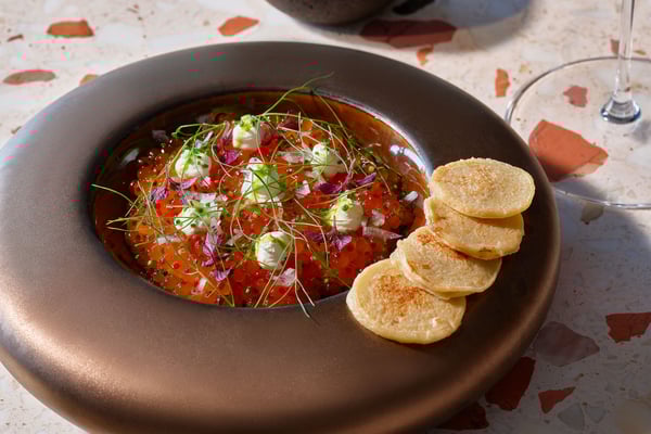 Lara Barut CollectionGallery