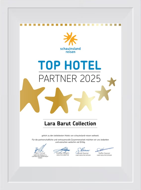 TOP HOTEL PARTNER 2025