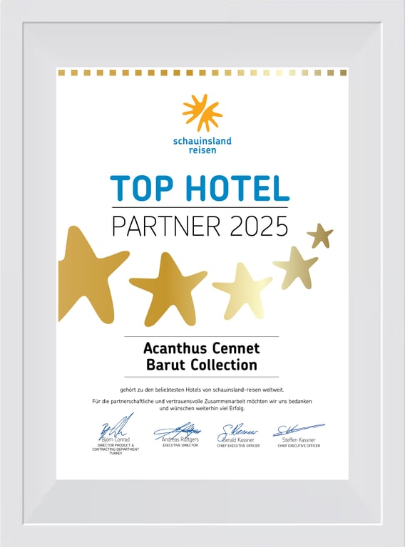TOP HOTEL PARTNER 2025