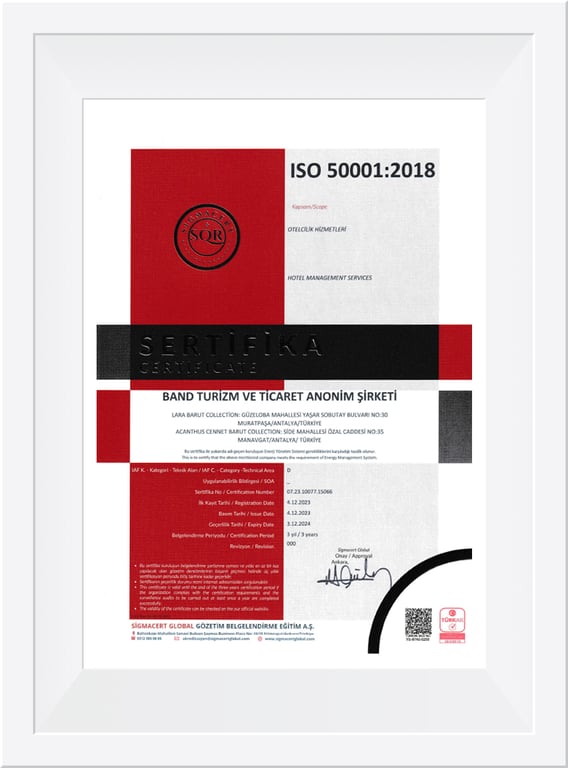 ISO 50001:2018