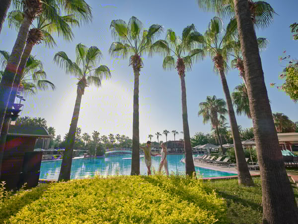 Lara Barut CollectionGaleri