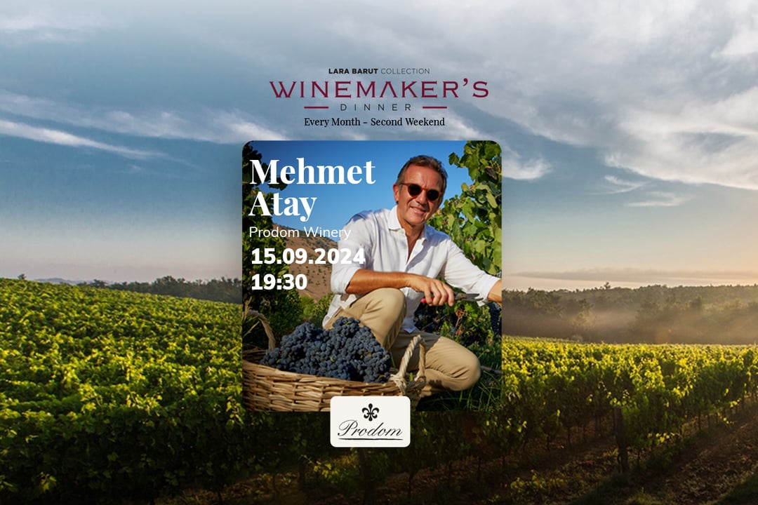 Winzer-Dinner-Treffen Geht Weiter!