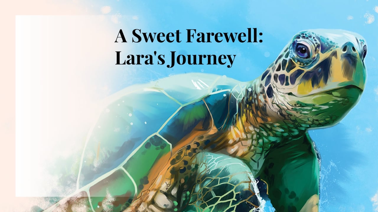 A Sweet Farewell: Lara's Journey