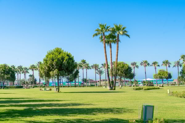 Lara Barut CollectionGaleri