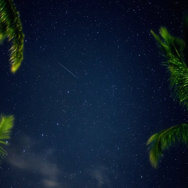 Gaze on to stars at the beach