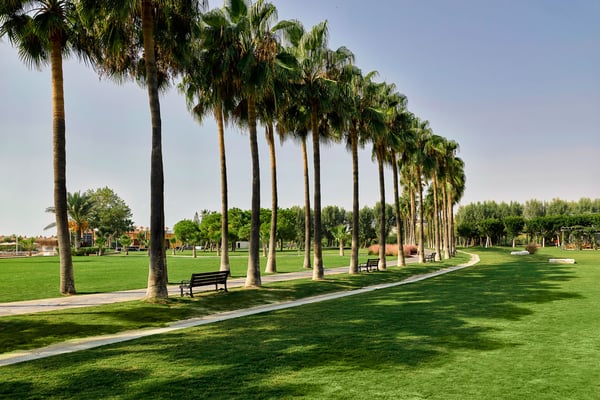 Lara Barut CollectionGaleri