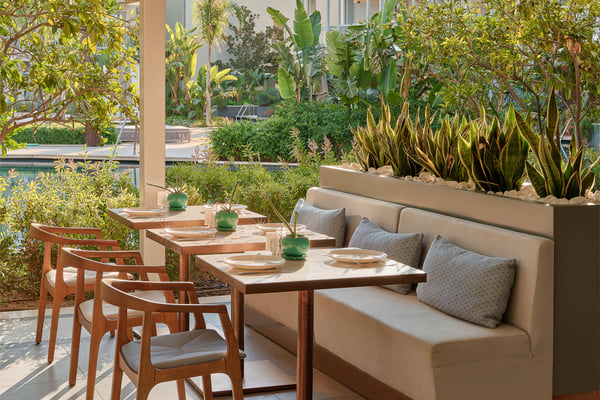 Lara Barut CollectionGallery