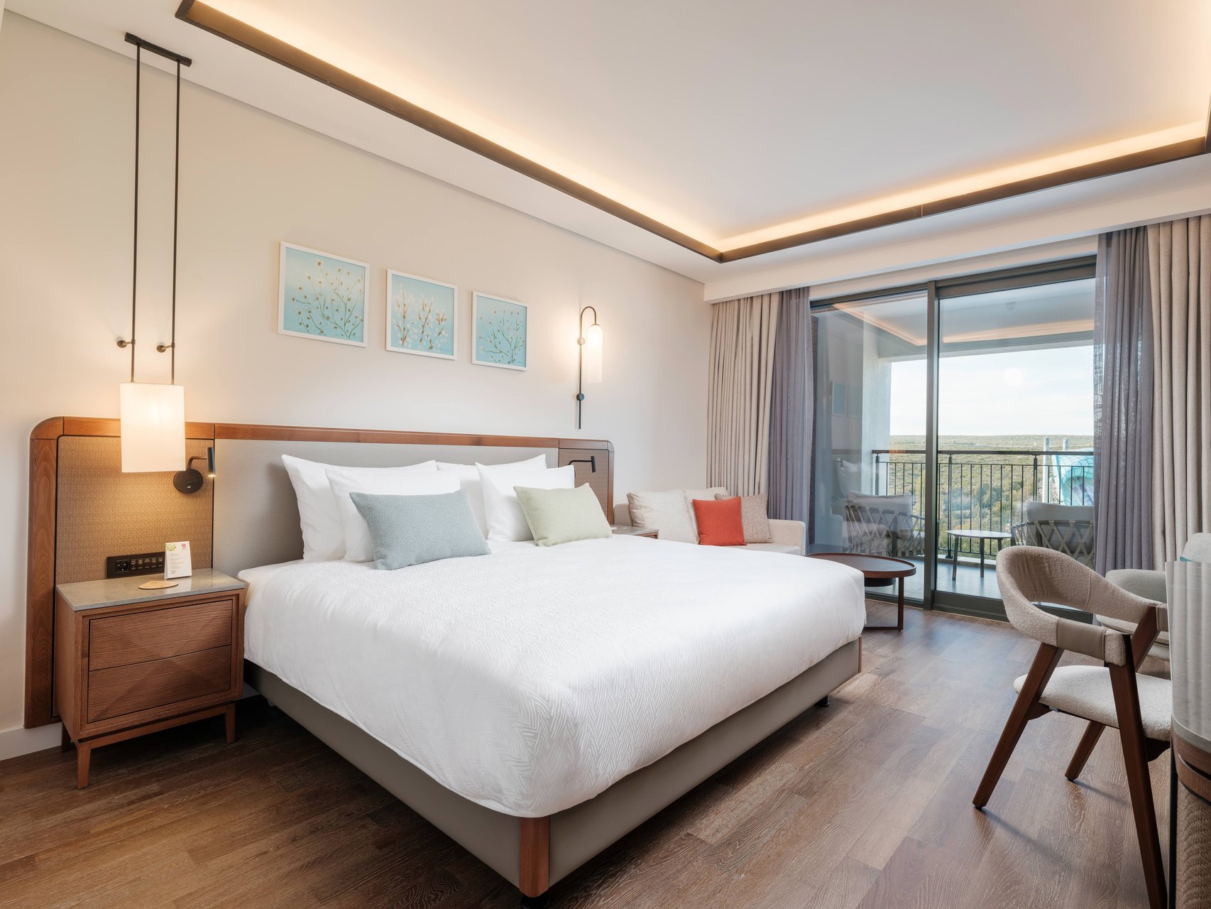 Deluxe Room with Adventure Park View