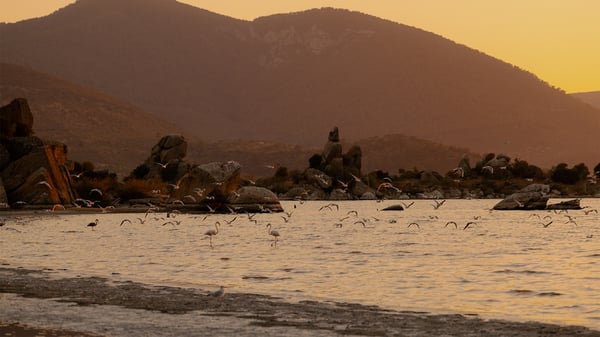 Bafa Gölü’nde Romantik Gün Batımı