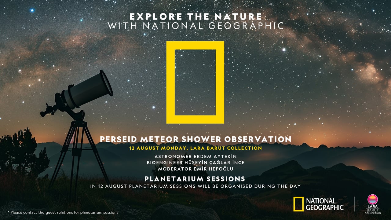 Perseid Meteor Shower