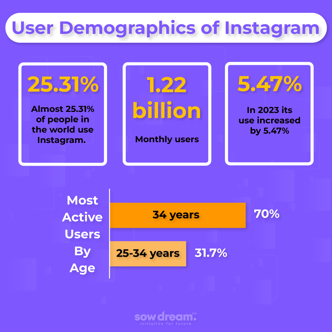 User Demographics of Instagram