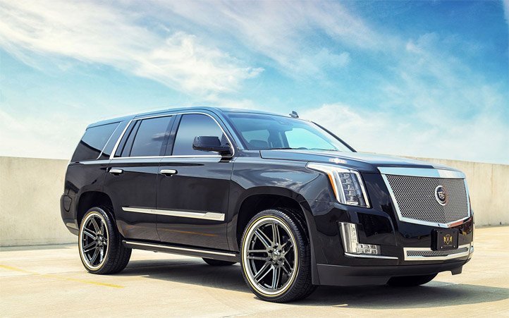 What Are Trues and Vogues?