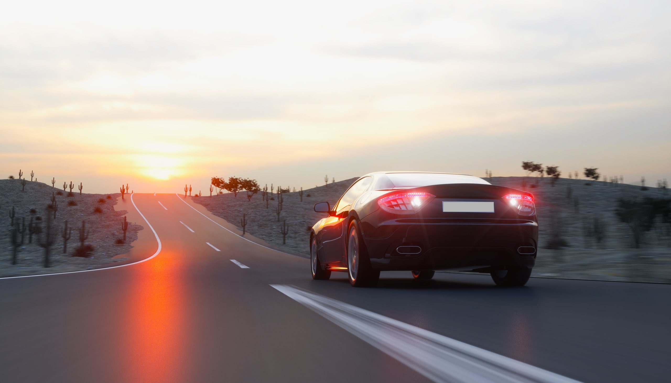 Guide to Summer Performance Tires in 2026