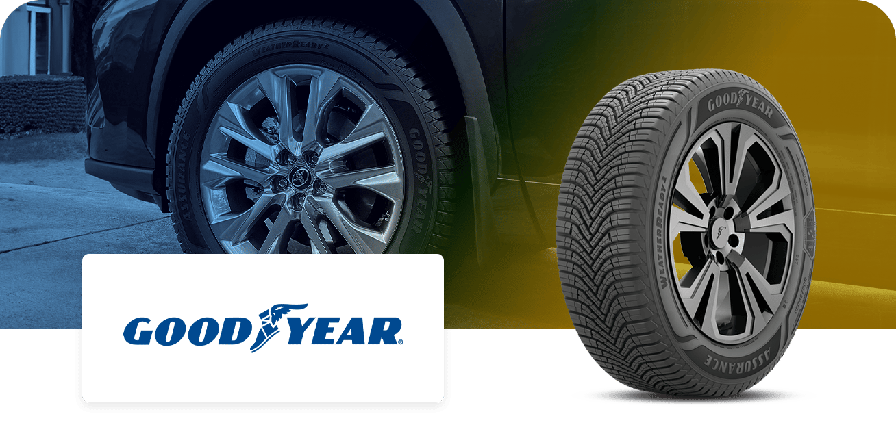 $100 Rebate