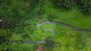 Namosi ecolodge aerial