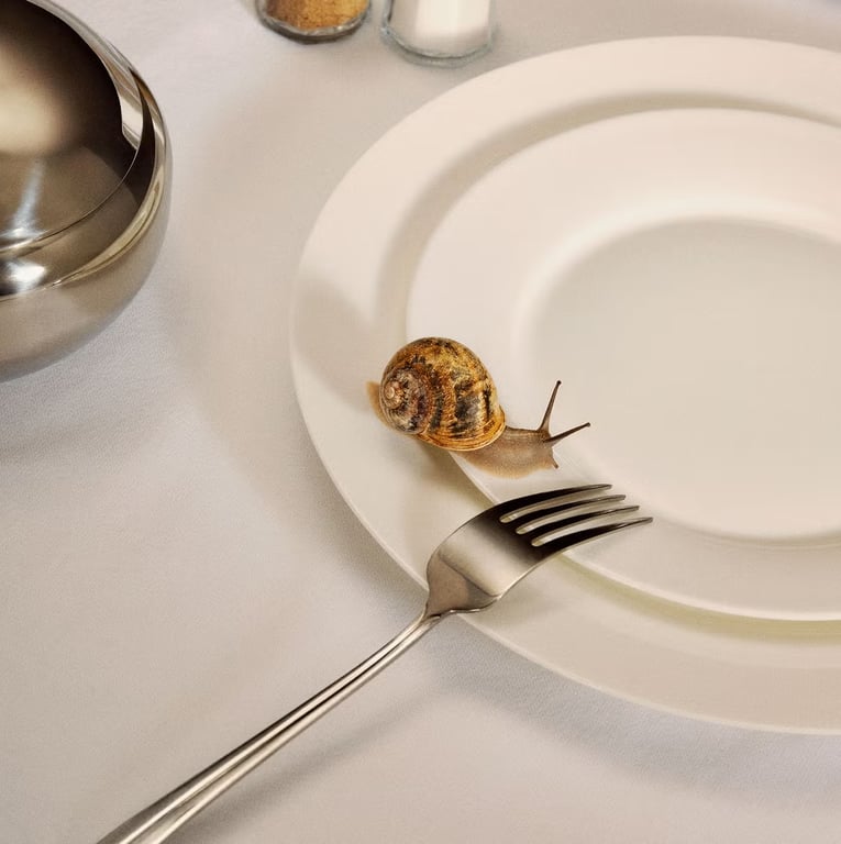 Curled Dinosaur Boogers or Delicacy? Snails Are Back on Menus.