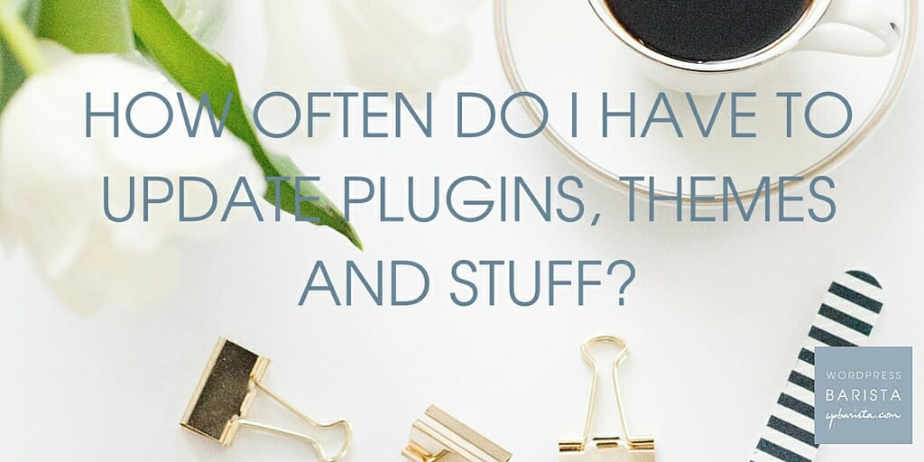FAQ: How often do I have to update plugins, themes and stuff??