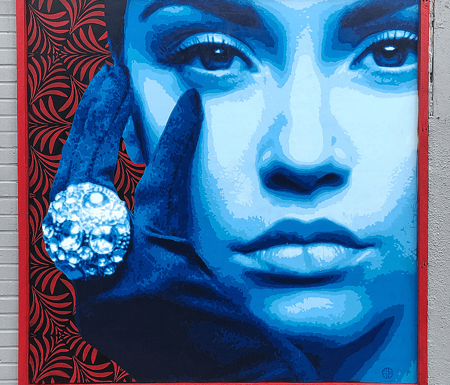 "Adelina" - POGO art commission