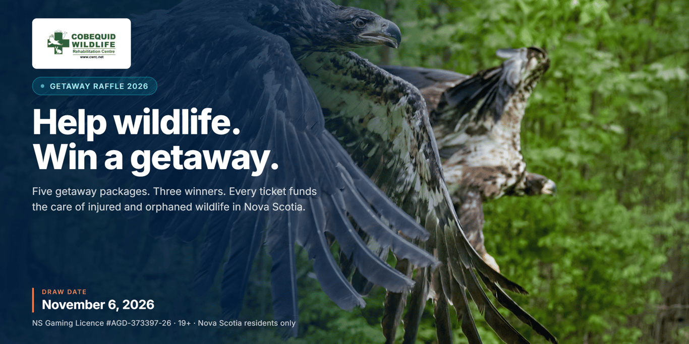 Cobequid Wildlife Rehabilitation Centre Getaway Raffle