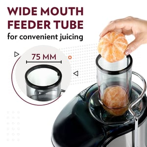 Borosil Primus Plus Juicer, 800 watts, 2 years warranty image 3