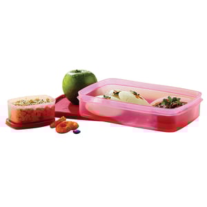 Signoraware Compact Lunch Box, BPA Free, Microwave & Dishwasher Safe, Ideal for School, Office & Travel Purposes - Pink