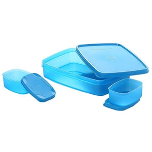 Signoraware Compact Lunch Box, BPA Free, Microwave & Dishwasher Safe, Ideal for School, Office & Travel Purposes - Blue