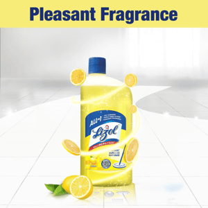Lizol Disinfectant Surface Cleaner | Kills 99.9% Germs, Viruses & Fungi, 10x Better Cleaning, IMA Recommended image 5