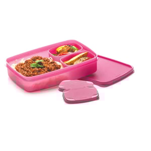 Signoraware Compact Lunch Box, BPA Free, Microwave & Dishwasher Safe, Ideal for School, Office & Travel Purposes