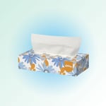 Tissue Boxes