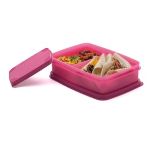 Signoraware Compact Lunch Box (Small)l, BPA Free, Microwave & Dishwasher Safe, Ideal for School, Office & Travel Purposes