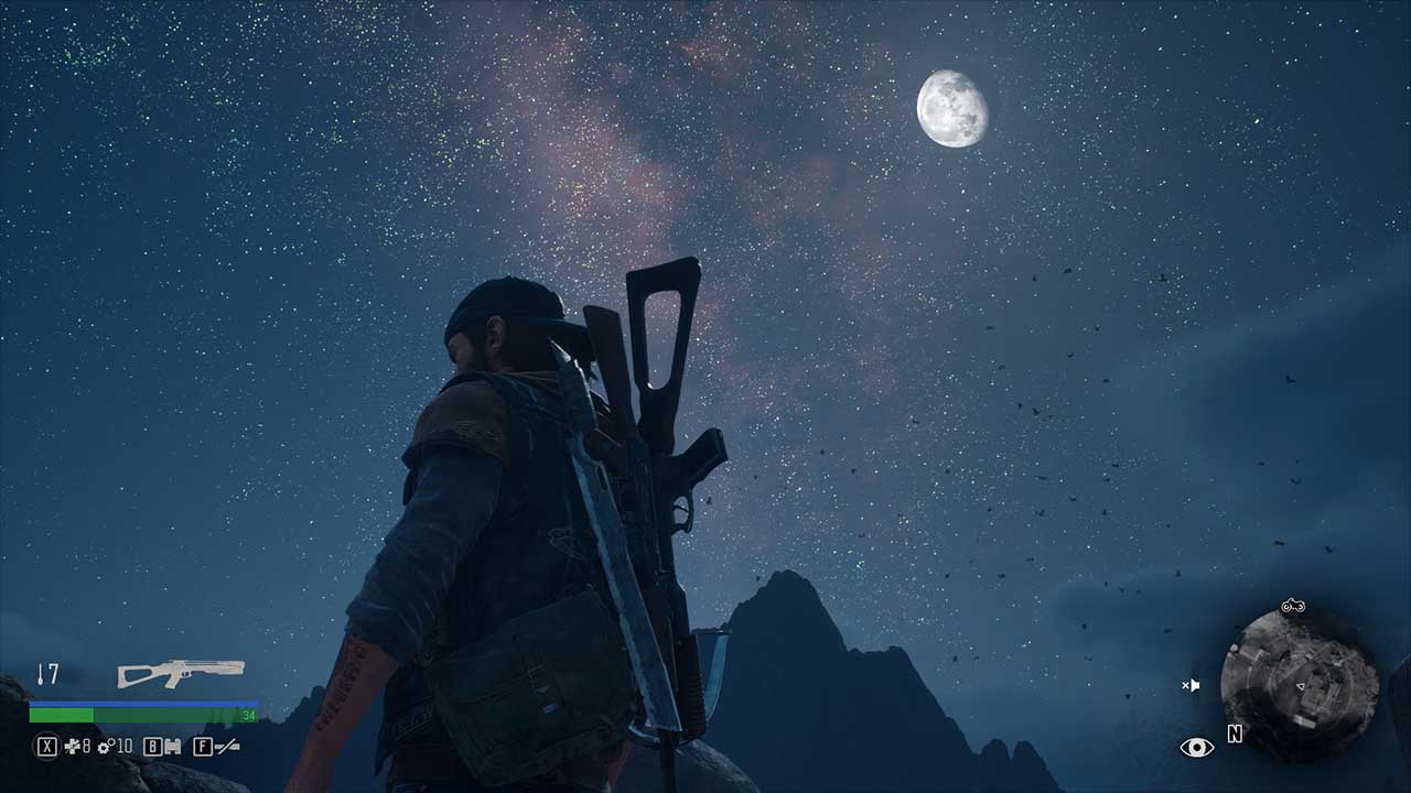 Days Gone